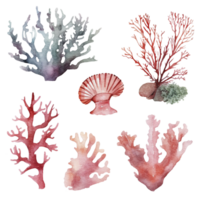 Set of sea corals on a white background, watercolor illustration. png