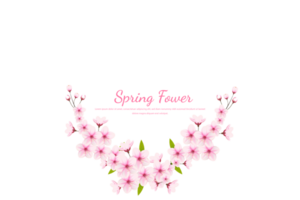 Cherry blossom branch with sakura flower.  cherry blossom. cherry bud. pink sakura flower png