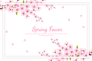 Cherry blossom branch with sakura flower.  cherry blossom. cherry bud. pink sakura flower png