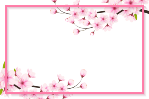 kers bloesem Afdeling met sakura bloem. kers bloesem. kers knop. roze sakura bloem png
