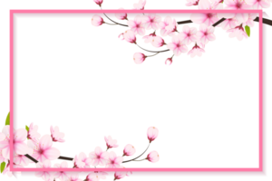 Kirsche blühen Ast mit Sakura Blume. Kirsche Blüte. Kirsche Knospe. Rosa Sakura Blume png