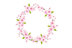 Kirsche blühen Ast mit Sakura Blume. Kirsche Blüte. Kirsche Knospe. Rosa Sakura Blume png