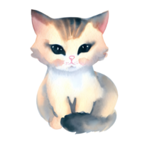 Watercolor and painting cute cat for illustration. Png file.