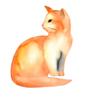 Watercolor and painting cute cat for illustration. Png file.