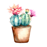 Aquarell Blühen Kaktus mit Blumen im Jahrgang Töpfe. png