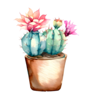 Watercolor Blooming cactus with flowers in vintage pots. png