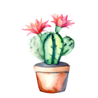 Watercolor Blooming cactus with flowers in vintage pots. png