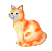 Watercolor and painting cute cat for illustration. Png file.