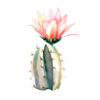 Watercolor Blooming cactus with flowers in vintage pots. png