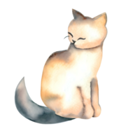 Watercolor and painting cute cat for illustration. Png file.