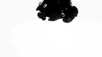 Black watercolor ink mixed with water on a white background. slow motion of acrylic paint in water video