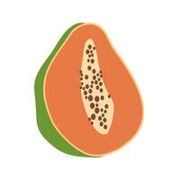 ripe papaya tropical fruit illustration vector