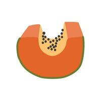 slice ripe papaya tropical fruit vector