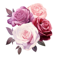 AI Generative Watercolor bouquet of roses isolated on transparent background png