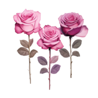 AI Generative Watercolor bouquet of roses isolated on transparent background png