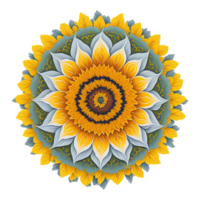 mandala disegno, colorato mandala disegno, ai generato png