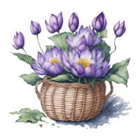 vattenfärg blommig korg, vattenfärg korg, blomma korg, vattenfärg blommig blomma design, vattenfärg blomma arrangemang blommig, vattenfärg blomma design, bröllop dekoration, ai genererad png