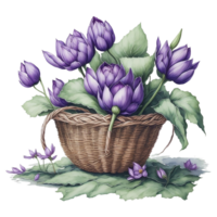 vattenfärg blommig korg, vattenfärg korg, blomma korg, vattenfärg blommig blomma design, vattenfärg blomma arrangemang blommig, vattenfärg blomma design, bröllop dekoration, ai genererad png