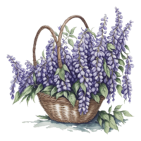 acquerello floreale cestino, acquerello cestino, fiore cestino, acquerello floreale fiore disegno, acquerello fiore accordi floreale, acquerello fiore disegno, nozze decorazione, ai generato png