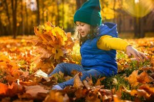 Autumn game for children. Cute baby girl with collected dry maple leaves in hand throws fallen dry leaves up, watches how they crumble. Beautiful child in the park at sunset.Colorful warm image for ad photo