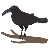 isolate crow halloween item png