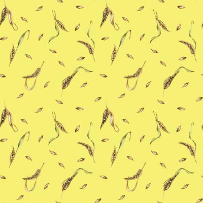 Wheat ear, barley watercolor seamless pattern on yellow background. Spikelet of rye, malt stalk hand drawn. Design element for textile, wrapping, packaging, label grocery, bakery, paper