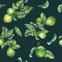 Branch of tree and single guava fruit watercolor seamless pattern isolated on black background. Green leaves, flowers of guajava hand drawn. Design for wrapping, packaging, fabric, paper, textile vector