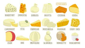 Big set of different types of cheese isolated on white background. Vector graphics.