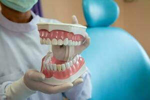 Dentures in dental clinics Dentists use it to communicate with patients. photo