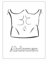 Human Body Coloring Pages, Human Body Part Vector