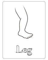 Human Body Coloring Pages, Human Body Part Vector