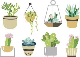 Succulent and cactus set. Collection in flat style. vector