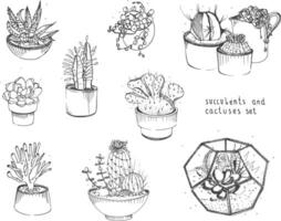 cactus y suculentas colocar. colección plantas en ollas, florario aislado en blanco antecedentes. mano dibujado ilustración en bosquejo estilo. vector