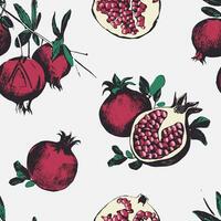 Seamless pattern with pomegranates. Fruits on white background. vector