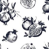 Seamless pattern with pomegranates. Fruit on white background. vector