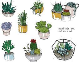 cactus y suculentas colocar. colección plantas en ollas, florario. vistoso ilustración mano dibujado en bosquejo estilo, aislado en blanco antecedentes. vector