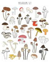 Collection of hand drawn colorful mushrooms. Set isolated edible, inedible, hallucinogenic fungus. Sketch vector illustration