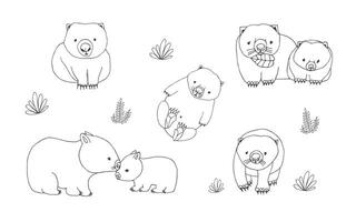 Set of cute young wombat in various poses. Adult animal with cub. Hand drawn contour vector illustration.