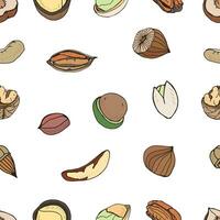 Nut seamless on white background. Hand drawn colorful pattern with different kind, pecan, almond, macadamia, pistachio, walnut, cashew, peanut, brazilian. vector