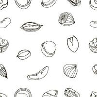 Nut seamless on white background. Hand drawn contour pattern with different kind, pecan, almond, macadamia, pistachio, walnut, cashew, peanut, brazilian. vector