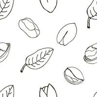 Nut seamless on white background. Hand drawn contour pattern with pistachio. vector