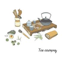 Tea ceremony with various traditional elements. Colorful hand drawn illustration. vector