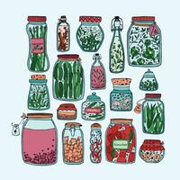 Set of pickled jars with vegetables, fruits, herbs and berries on shelves. Autumn marinated food. Colorful Illustration. vector