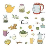 conjunto té fiesta objetos. colección con mano dibujado tetera,jar,limón,hoja,taza,jengibre,canela. vector vistoso ilustración.