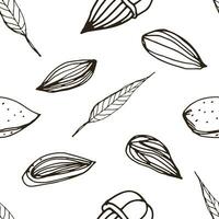 Nut seamless on white background. Hand drawn contour pattern with almond. vector