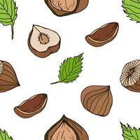 Nut seamless on white background. Hand drawn colorful pattern with hazelnut. vector