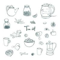 Set tea party objects. Collection with hand drawn kettle,jar,lemon,leaf,cup,ginger,cinnamon. vector illustration.