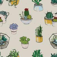 Seamless with various hand drawn succulent and cactus plants on white background. Colorful pattern. vector