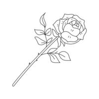 One blooming rose on a twig with leaves. Flat hand drawn pink rose flower. Botanical illustration in a trendy flat style. Vector decorative element isolated on a white background.