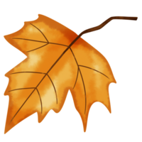 autunno con amore png